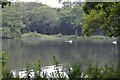 Highams Park boating lake