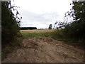 Field Entrance off Nightingale Hall Road