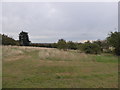 Paddock at Horndon on the Hill