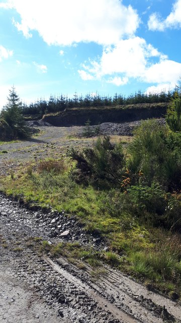 Disused quarry near Hog Knowes