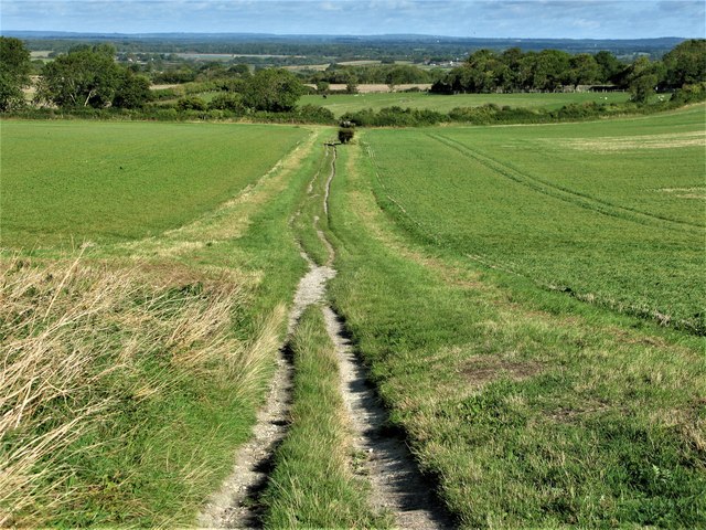 Track to the Long Man of Wilmington