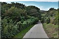 Tintagel: The steep upper part of the track to the castle