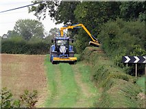 SK6819 : Hedge cutting at Shoby bends by Andrew Tatlow