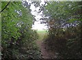 Footpath towards Frisby on the Wreake