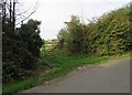 Gate to field north of Pasture Lane