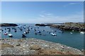 Boats in the Bay