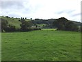 Meadow at Capel Bangor