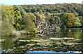 The Mere, Scarborough 