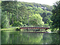 Foot bridge over The Mere, Scarborough 