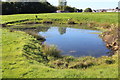 Pond, former golf course, Oakdale