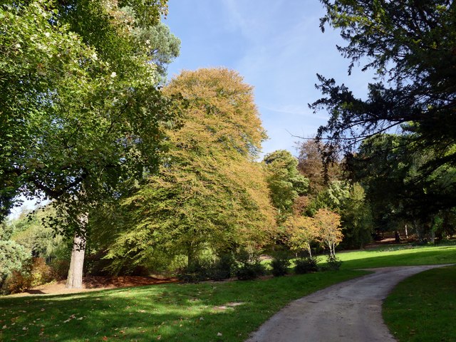 Autumn colour in Chatsworth Gardens