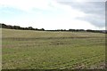 NZ3863 : Farmland off Sunniside Lane, Cleadon by Graham Robson