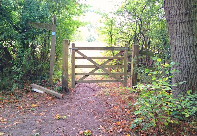 Gate on the path, Alice Holt Forest