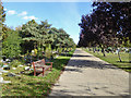 Road in Sutton Road Cemetery