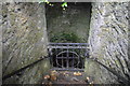 X0498 : St Carthage's Well (Holy Well) by N Chadwick