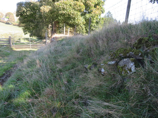 Dry stone wall alongside Offa's Dyke LDP and a bench mark