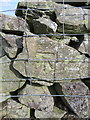 Bench mark below Fron Hen, Llanferres