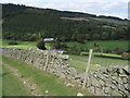 Dry stone wall below Fron Hen, Llanferres