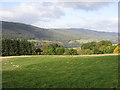 Pasture above Strath Tummel