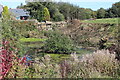 Pond(2), off Llwyn on Lane, Oakdale