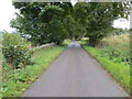 Lane near Clachuile Cottage