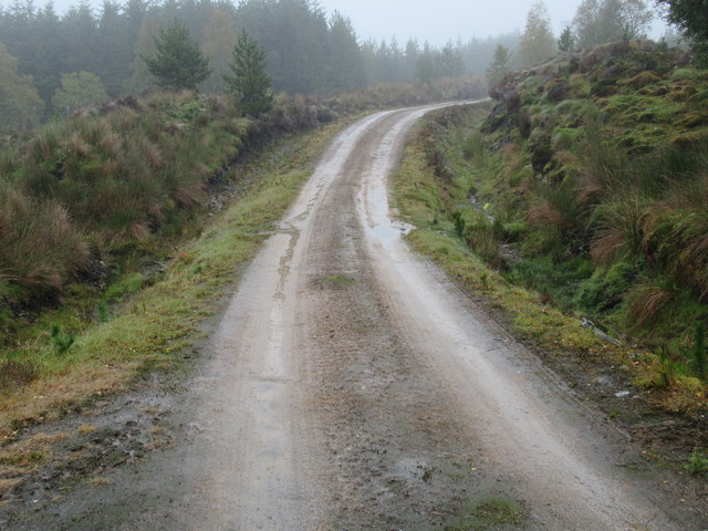 Looking east along forest track in Cnoc nan Con plantation above Strathoykel