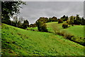 Rolling hills, Carryclogher