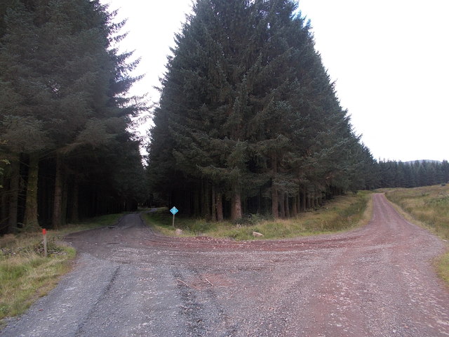 Forestry road near Burnhead