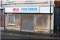 Orchids - Saltcoats