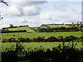 An unusual col in a drumlin ridge above the Manog Road