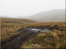 NH3790 : Boggy passage on Argo track heading up Glun Liath in Alladale Forest near Ardgay by ian shiell