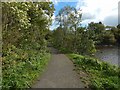 Path to Porterfield Road