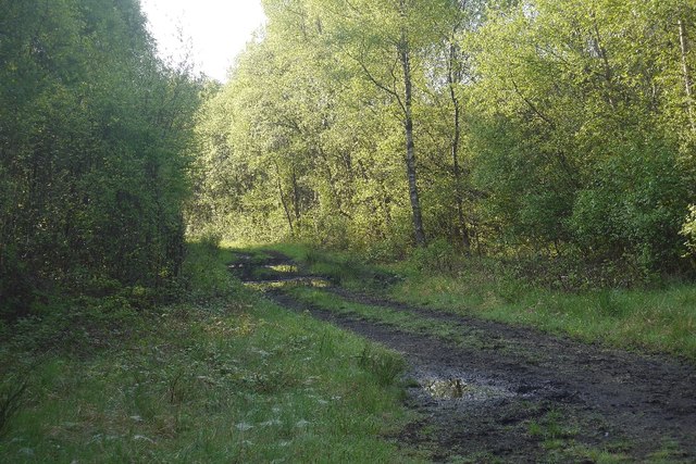 Carnock Colliery site