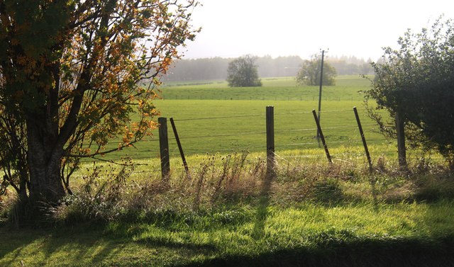 Field fence at Wallfauld