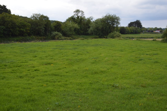 Pasture by the River Boyne