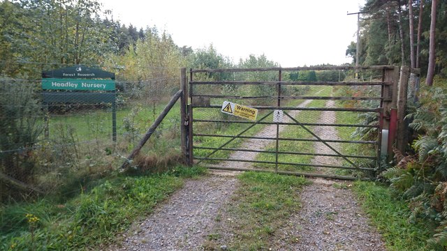 Gate to Headley Nursery