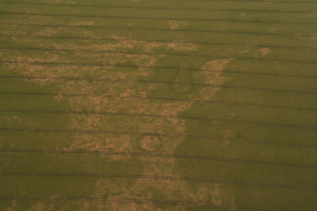 Crop marks in a field near Ketsby: aerial 2018 (3)