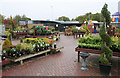 Christies Garden Centre, Fochabers