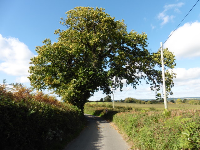 Checkridge Lane