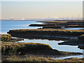 TQ8971 : The eastern edge of Chetney Marshes by Long Reach, The Swale (3) by Mike Quinn