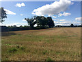 SE2598 : Farmland, Bolton on Swale by John Allan
