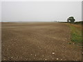 SE9666 : Prepared field and line of earthwork by Jonathan Thacker