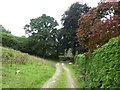 Track and footpath near Westcott