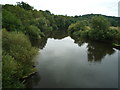 The River Severn (Arley)