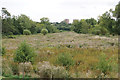 Flood plain of the River Stour