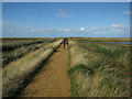 TG0544 : East Bank, Cley by Hugh Venables