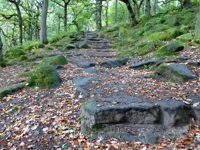 Stepped path in Padley Gorge