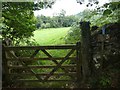 Gate from woodland to grassland near Horselake