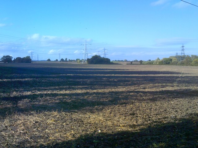 Field Scene