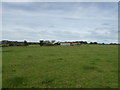 View to Black Lion Farm near Church Pulverbatch, Shropshire